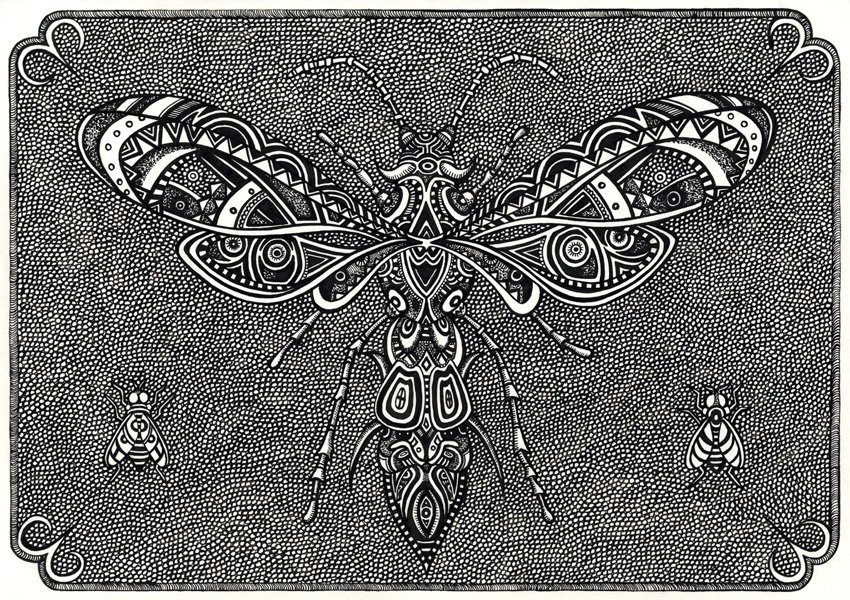 dessin détaillé d'abeille à la plume et encre de chine