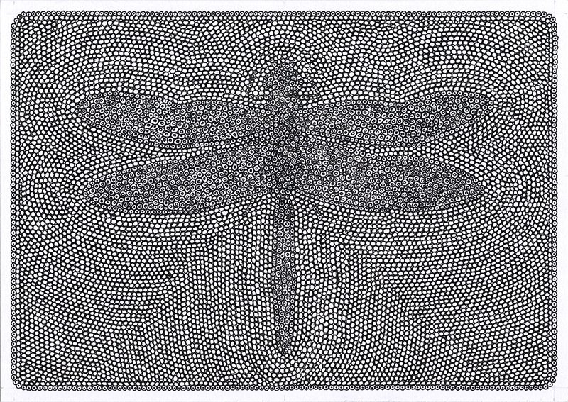 dessin de libellule plume et encre de chine